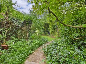 Garden- click for photo gallery